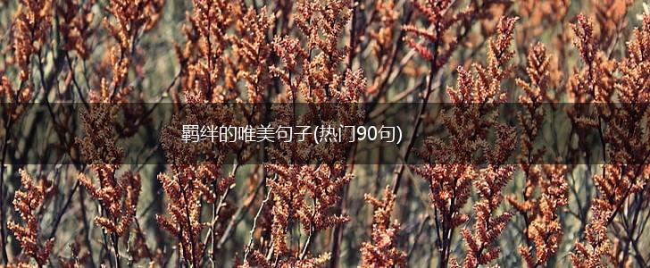 羁绊的唯美句子(热门90句),第1张