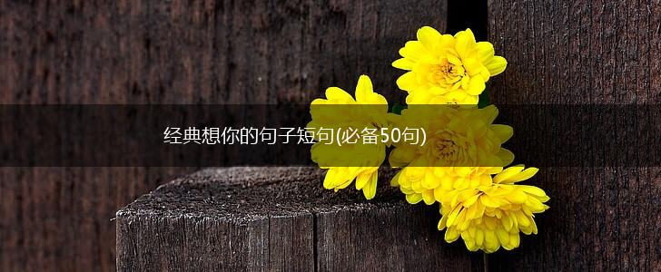 经典想你的句子短句(必备50句),第1张