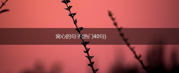 窝心的句子(热门40句),第1张