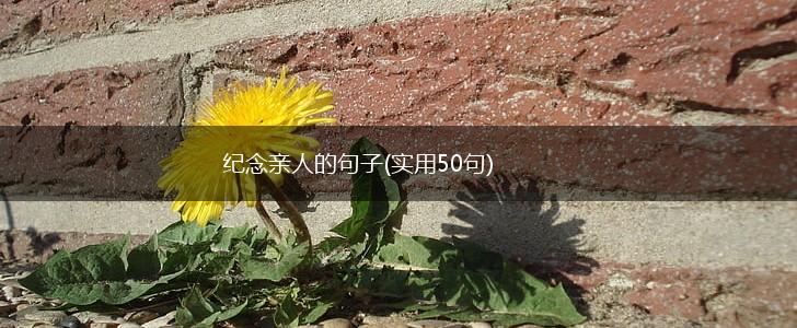 纪念亲人的句子(实用50句),第1张