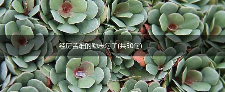 经历苦难的励志句子(共50句),第1张