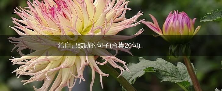 给自己鼓励的句子(合集20句),第1张