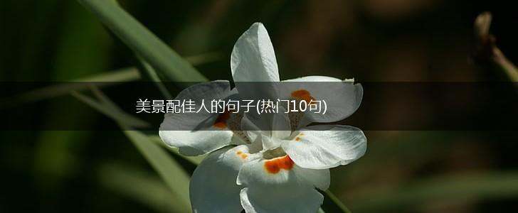 美景配佳人的句子(热门10句),第1张