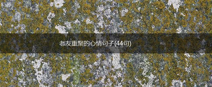 老友重聚的心情句子(44句),第1张