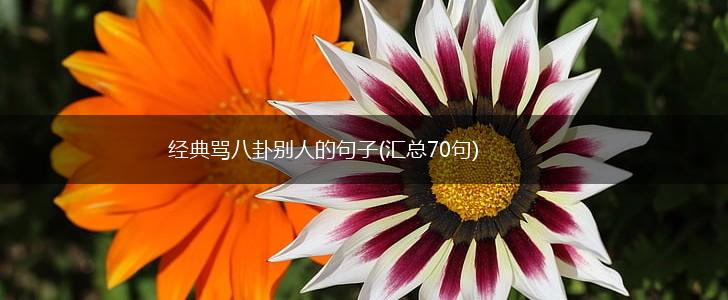 经典骂八卦别人的句子(汇总70句),第1张