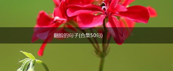 翻脸的句子(合集50句),第1张