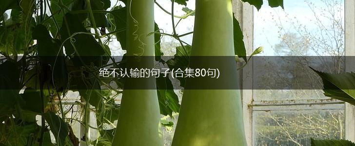 绝不认输的句子(合集80句),第1张