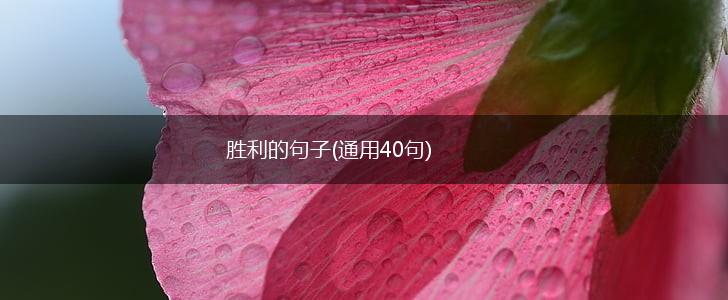 胜利的句子(通用40句),第1张