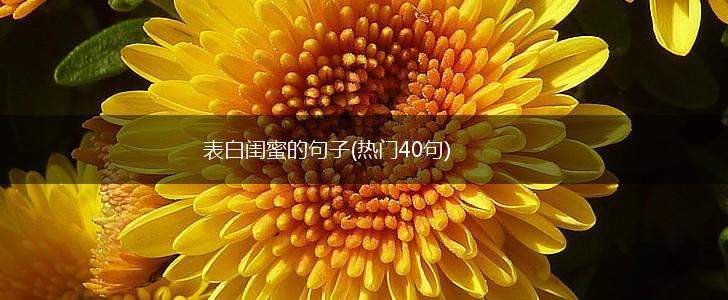 表白闺蜜的句子(热门40句),第1张