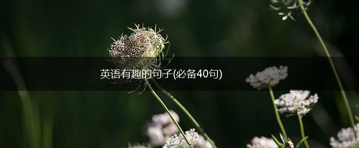 英语有趣的句子(必备40句),第1张