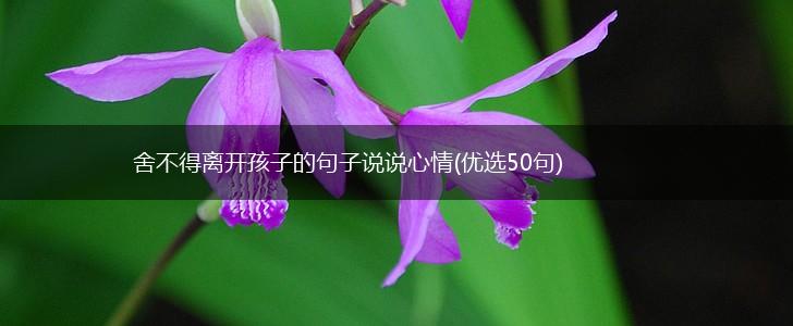 舍不得离开孩子的句子说说心情(优选50句),第1张