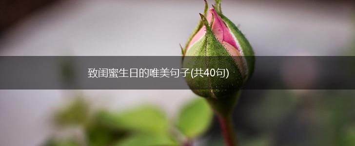 致闺蜜生日的唯美句子(共40句),第1张