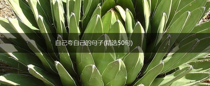 自己夸自己的句子(精选50句),第1张