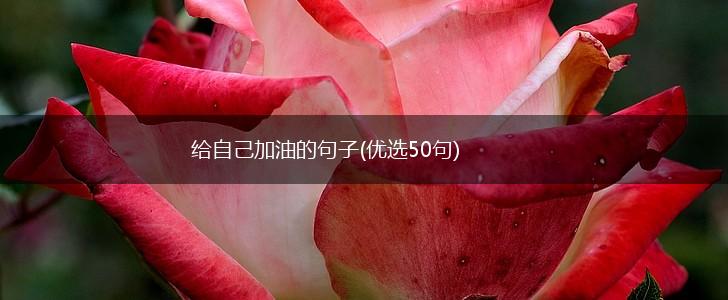 给自己加油的句子(优选50句),第1张