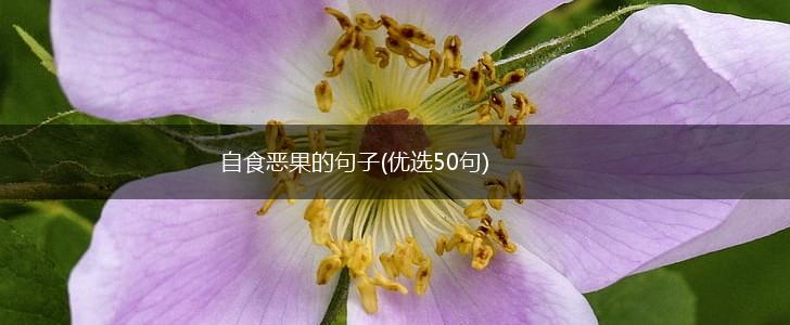 自食恶果的句子(优选50句),第1张