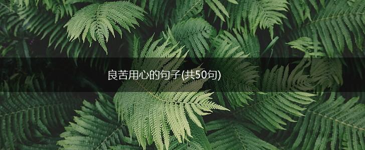 良苦用心的句子(共50句),第1张