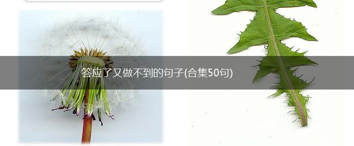 答应了又做不到的句子(合集50句),第1张