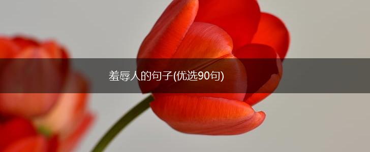 羞辱人的句子(优选90句),第1张