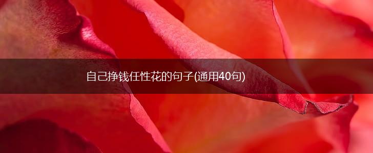 自己挣钱任性花的句子(通用40句),第1张