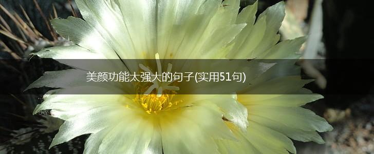 美颜功能太强大的句子(实用51句),第1张