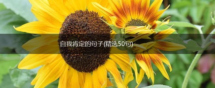 自我肯定的句子(精选50句),第1张