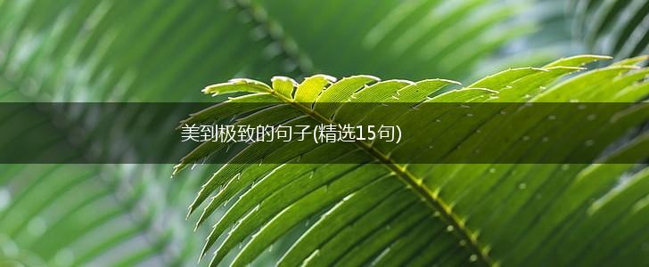 美到极致的句子(精选15句),第1张