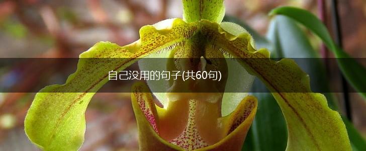 自己没用的句子(共60句),第1张