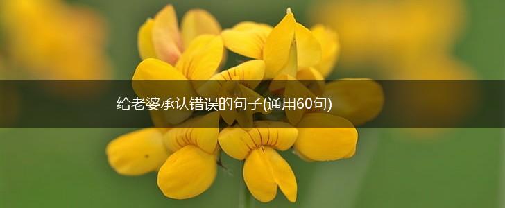 给老婆承认错误的句子(通用60句),第1张