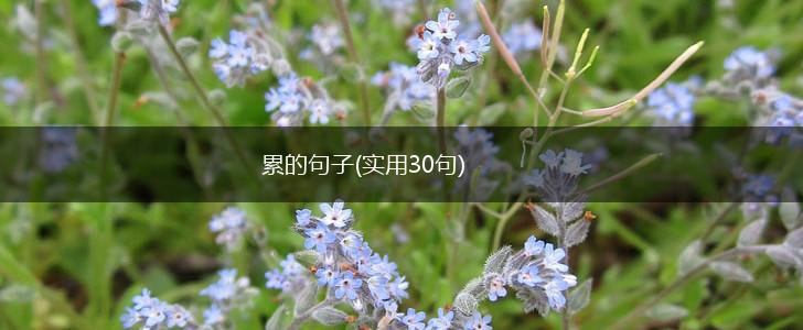 累的句子(实用30句),第1张