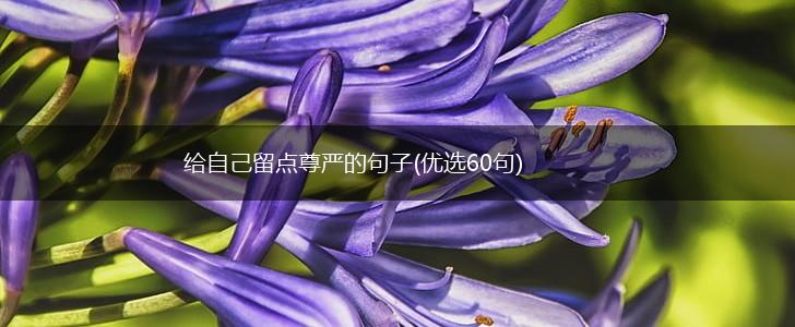 给自己留点尊严的句子(优选60句),第1张