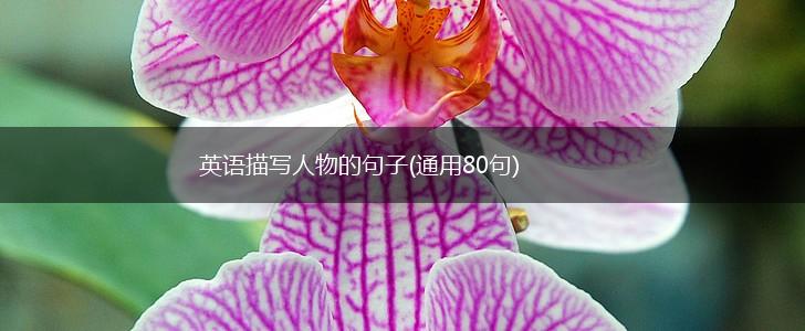 英语描写人物的句子(通用80句),第1张