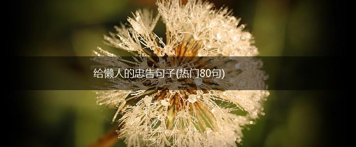 给懒人的忠告句子(热门80句),第1张
