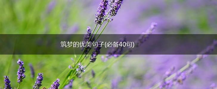 筑梦的优美句子(必备40句),第1张