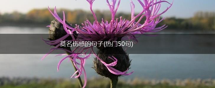 莫名伤感的句子(热门50句),第1张