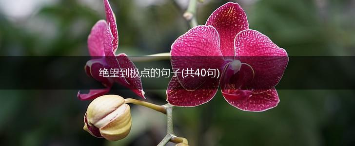 绝望到极点的句子(共40句),第1张