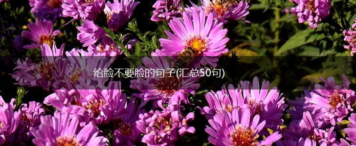 给脸不要脸的句子(汇总50句),第1张