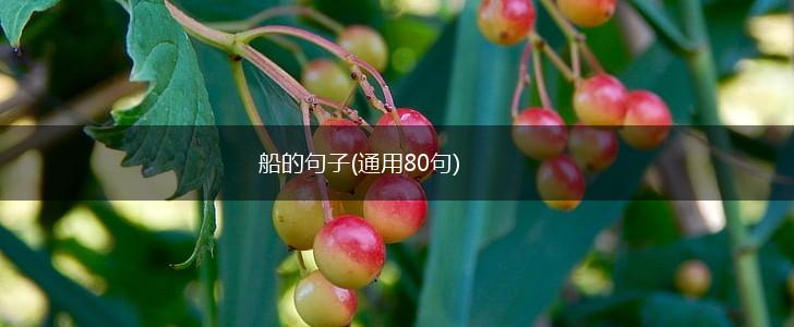 船的句子(通用80句),第1张