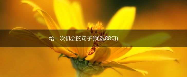 给一次机会的句子(优选88句),第1张