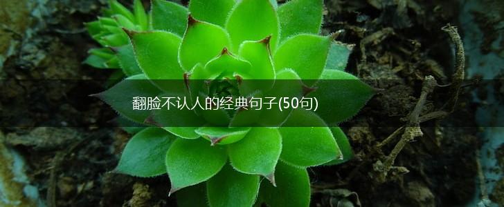 翻脸不认人的经典句子(50句),第1张