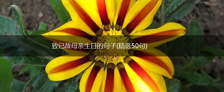 致已故母亲生日的句子(精选50句),第1张