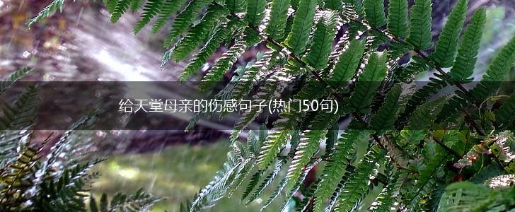 给天堂母亲的伤感句子(热门50句),第1张