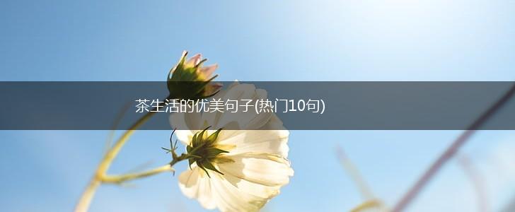 茶生活的优美句子(热门10句),第1张