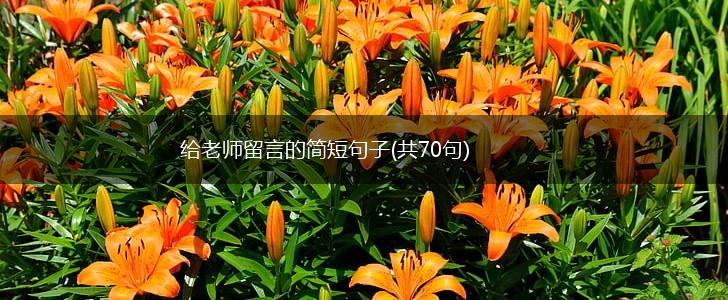给老师留言的简短句子(共70句),第1张