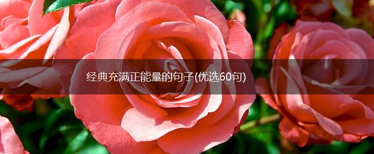 经典充满正能量的句子(优选60句),第1张