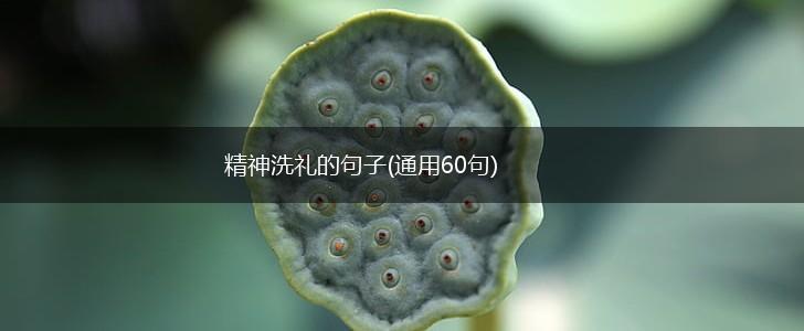 精神洗礼的句子(通用60句),第1张