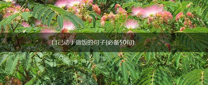 自己动手做饭的句子(必备50句),第1张