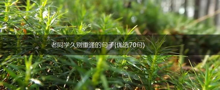 老同学久别重逢的句子(优选70句),第1张