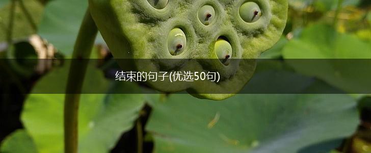 结束的句子(优选50句),第1张