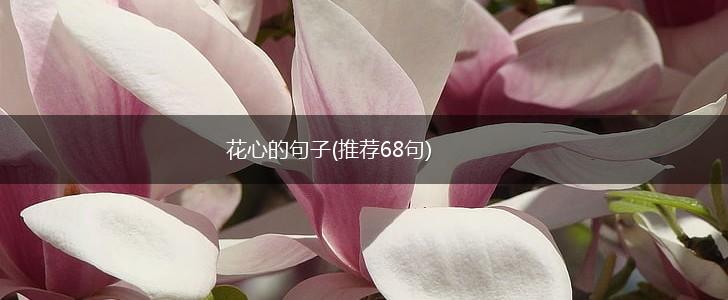 花心的句子(推荐68句),第1张