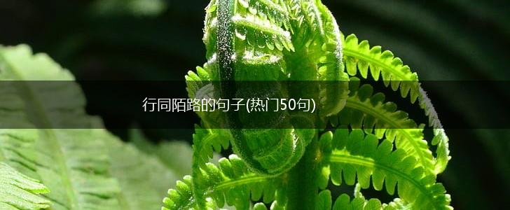 行同陌路的句子(热门50句),第1张